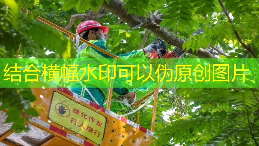 jn江南官方体育，盲盒钥匙扣配件网球拍