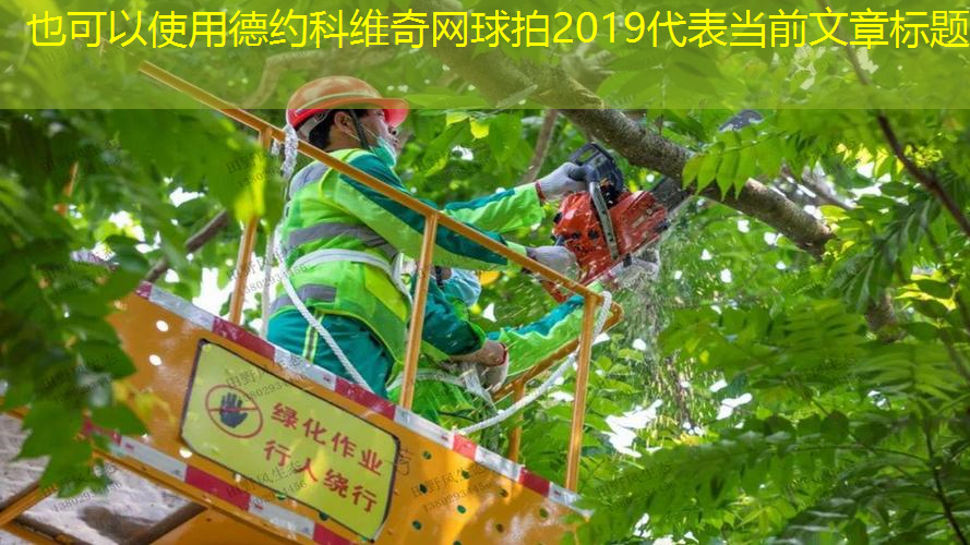 德约科维奇网球拍2019