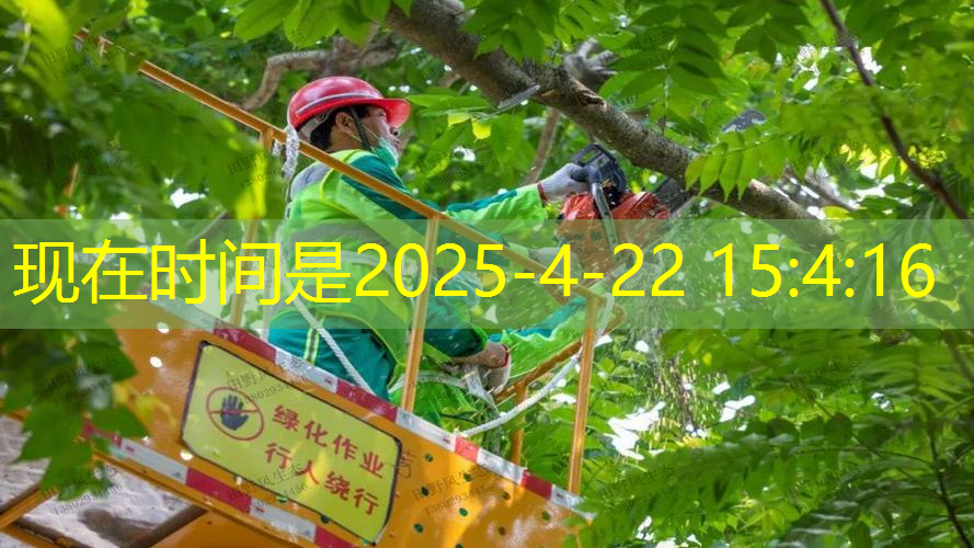 jn江南官方体育，网球拍拍柄测量尺寸方法