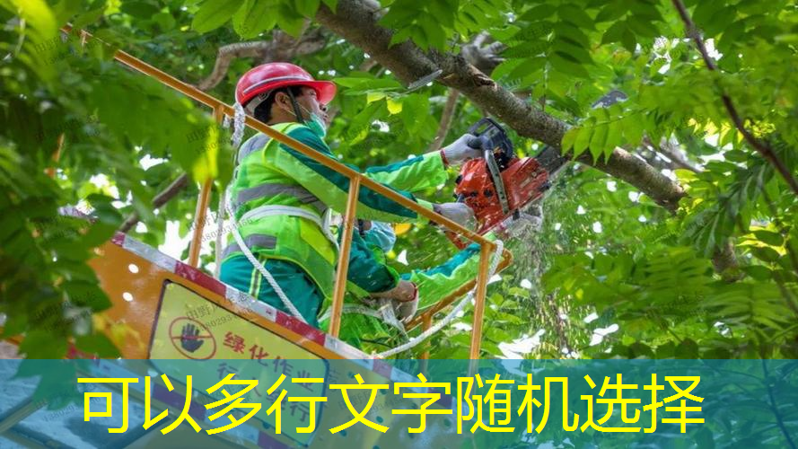 柯南被网球拍打晕失忆