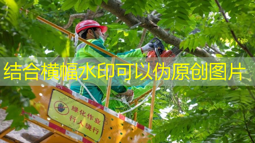 网球拍有质保期吗多久啊