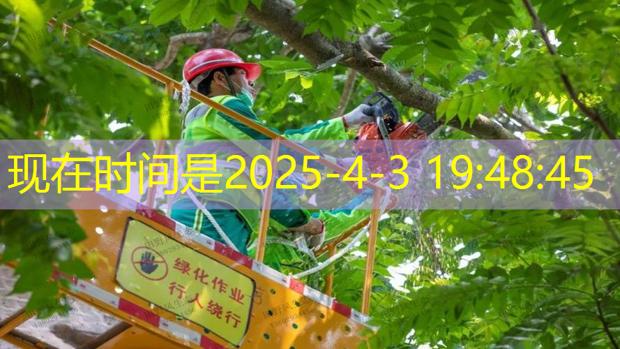 282网球拍是怎么回事