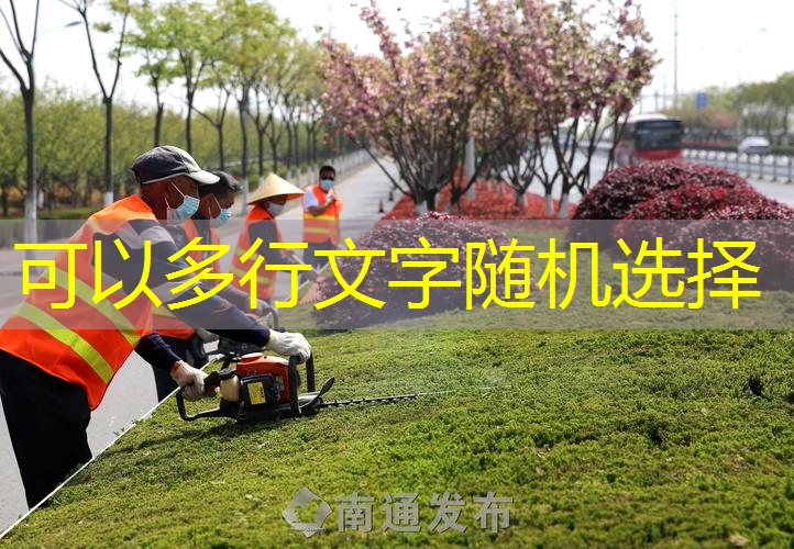 碳纤维网球拍单人训练器