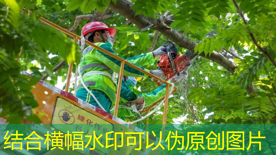 网球拍专业单人训练器