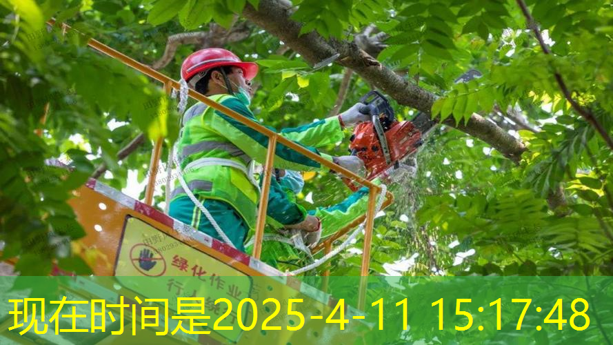 德约科维奇网球拍2019