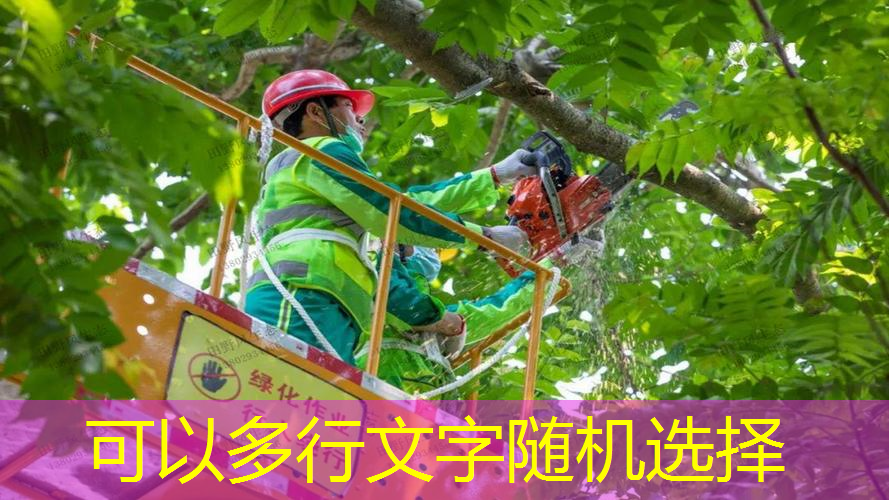 新到网球拍要绑手胶吗_