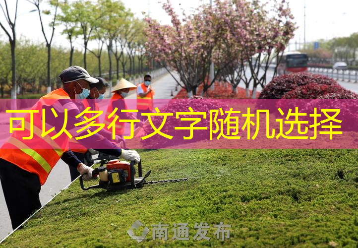 网球拍子有什么要求嘛