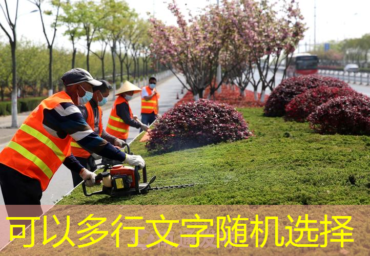 篮球架修复：常见问题及解决方案